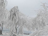 Winter_im_Erzgebirge_2
